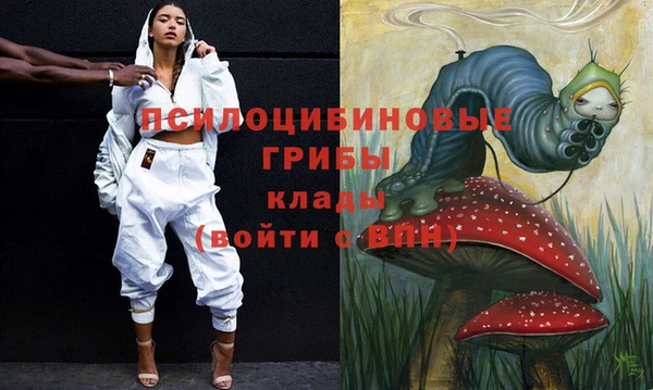 бутик Бородино