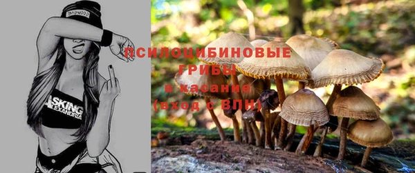 spice Богородицк