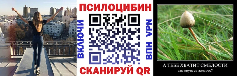 Галлюциногенные грибы GOLDEN TEACHER  Каменск-Шахтинский 